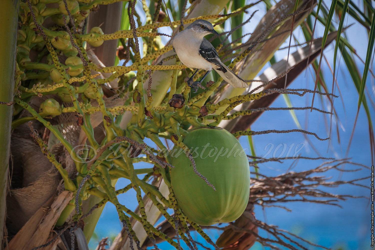 Isla Mujeres