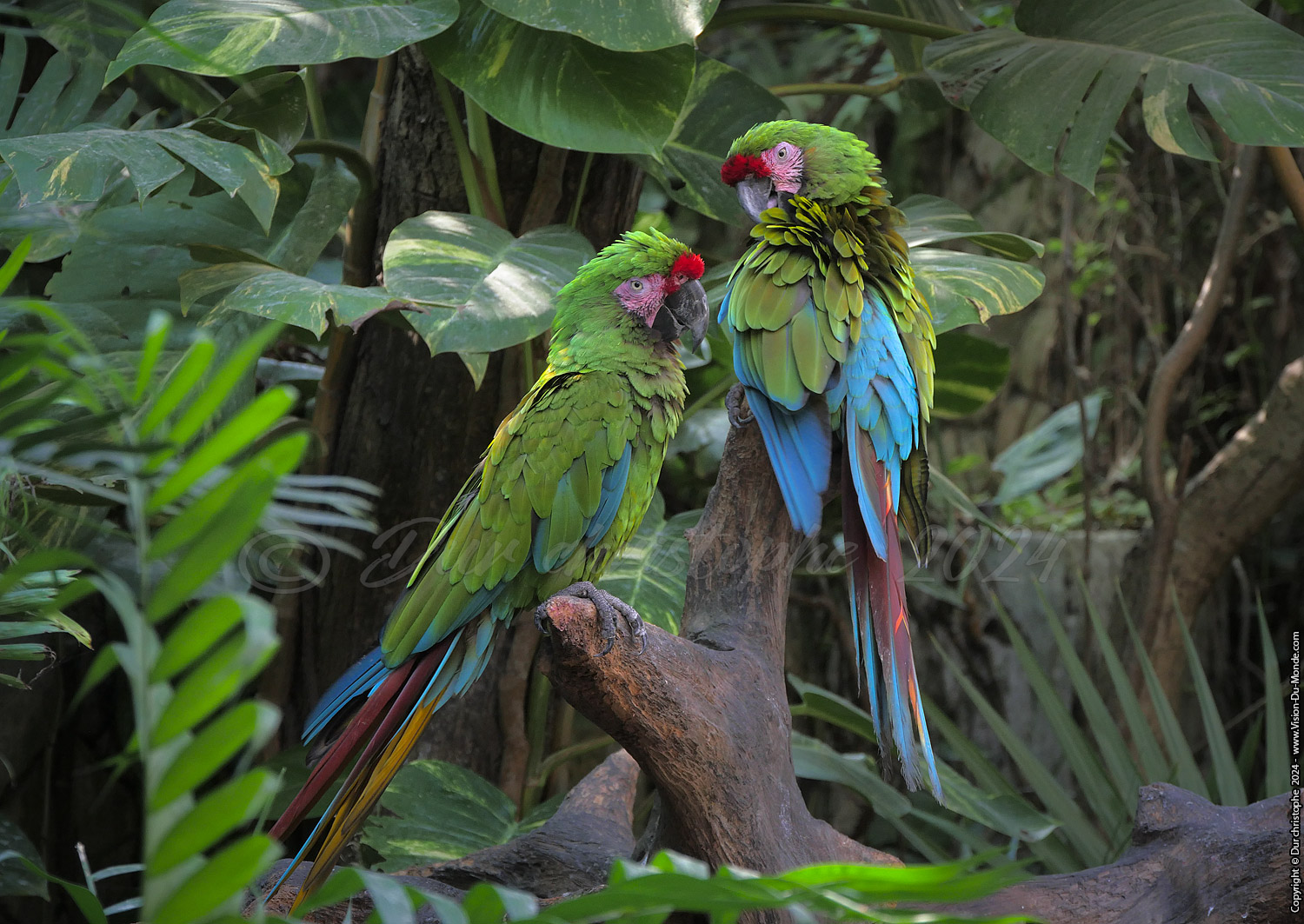 Parc Xcaret - 2023