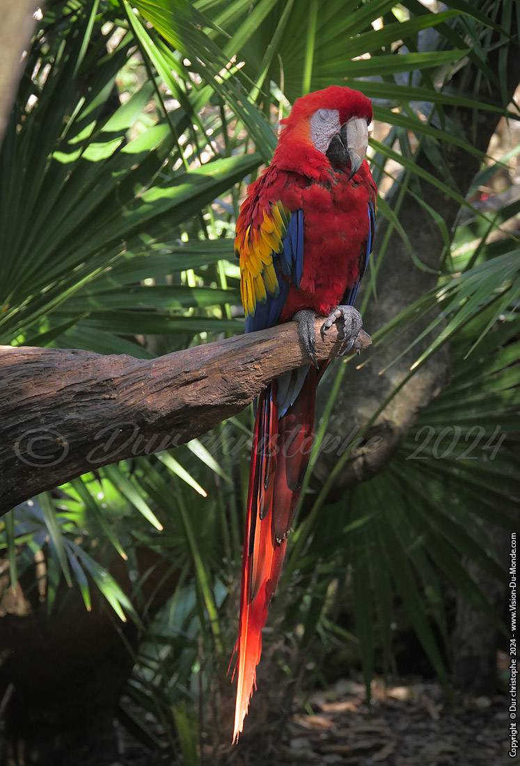 Parc Xcaret - 2023