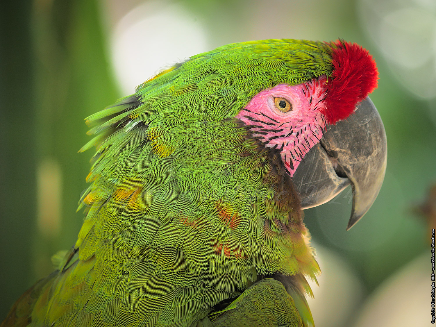 Parc Xcaret - 2023