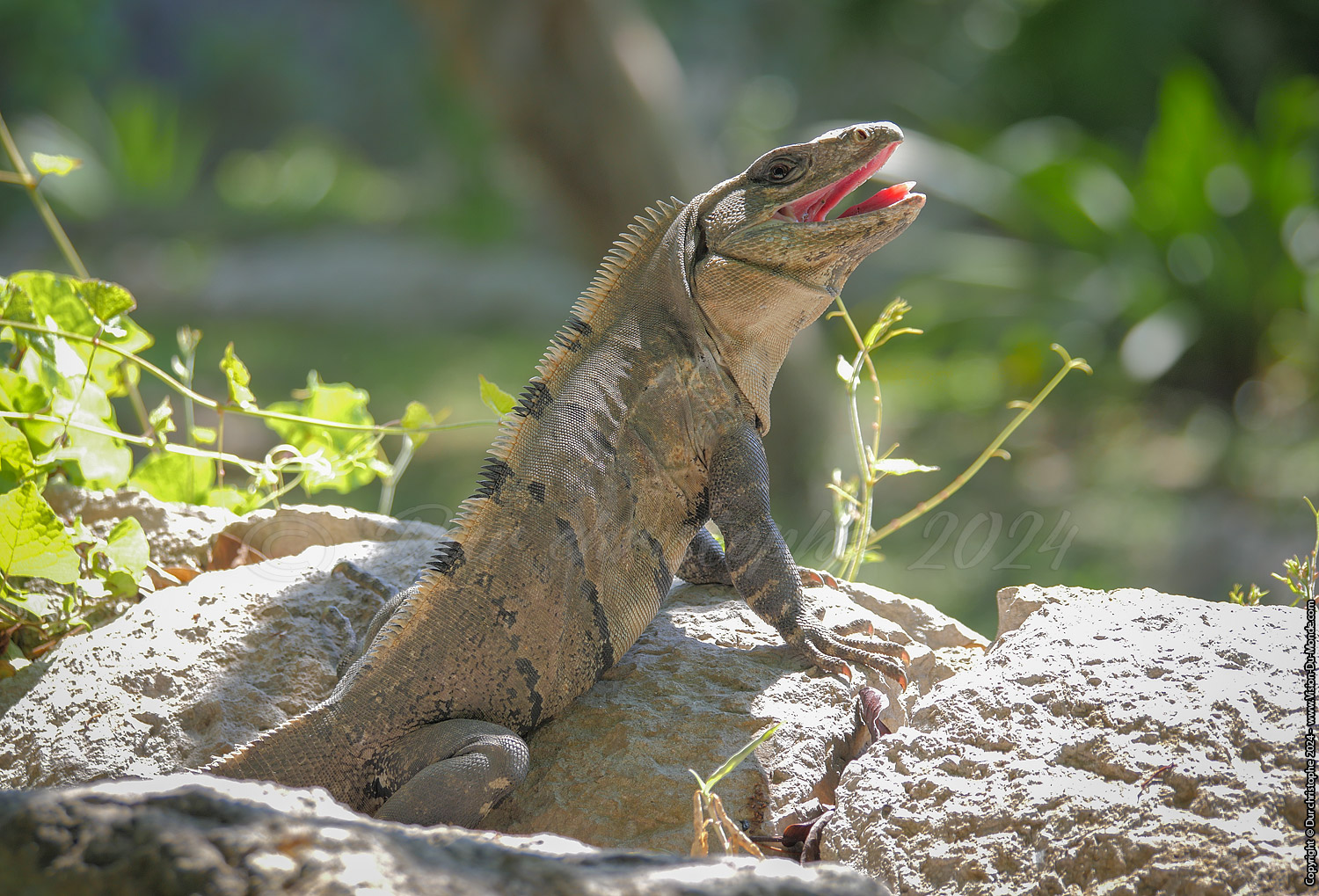 Parc Xcaret - 2023