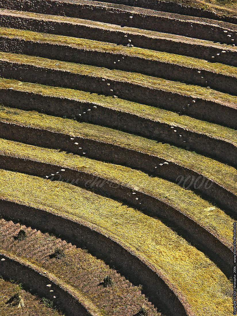 Moray - Maras - 2006