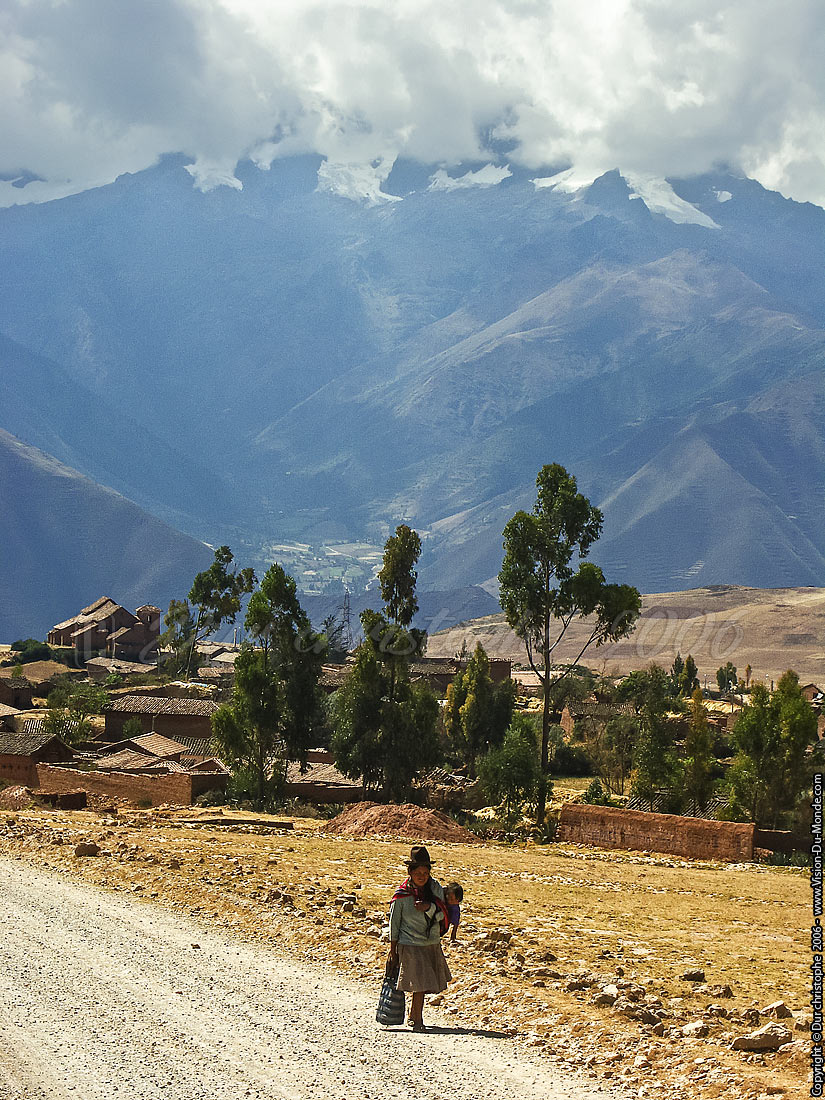 Maras - 2006