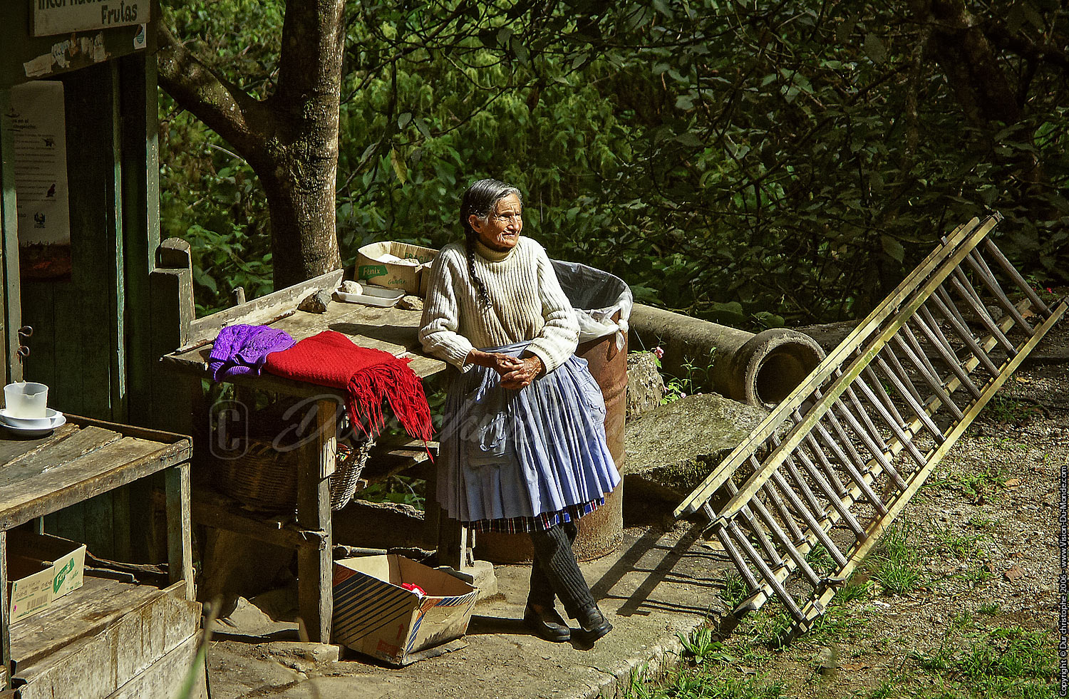 Aguas calientes - 2006