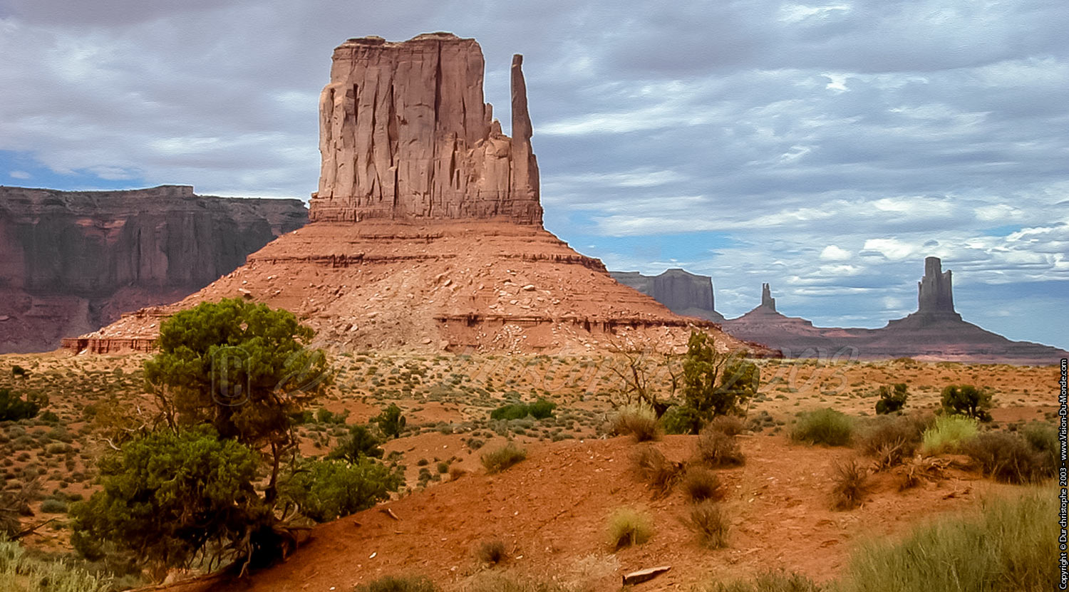 ARIZONA - 2003
