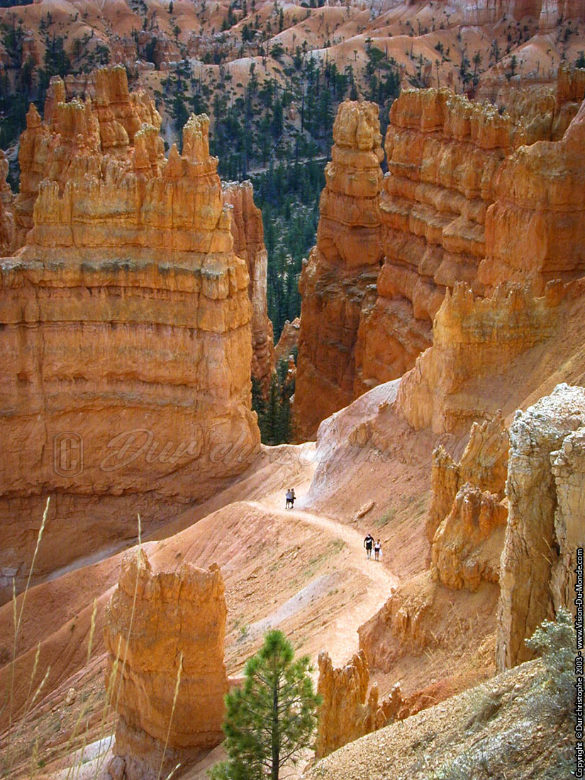 Bryce National park - 2003