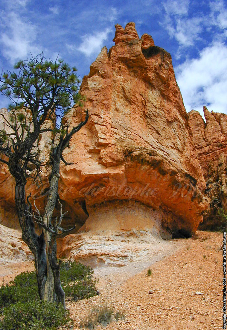 Bryce National park - 2003
