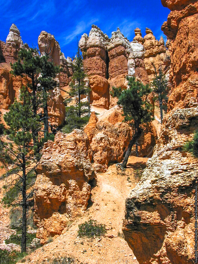 Bryce National park - 2003