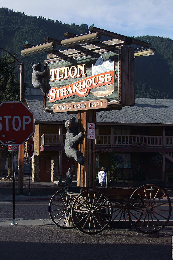 Jackson Hole - 2009