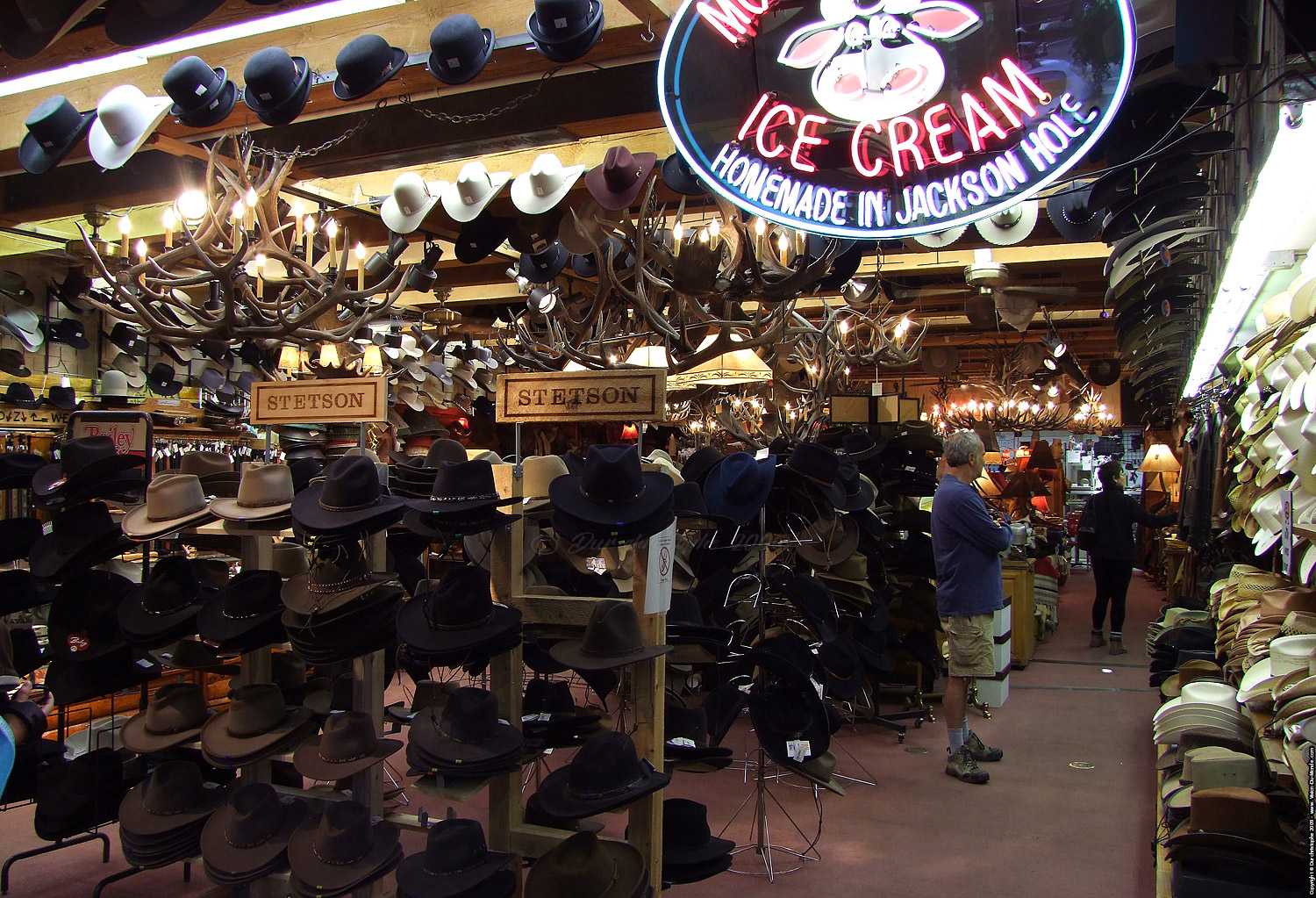 Jackson Hole - 2009
