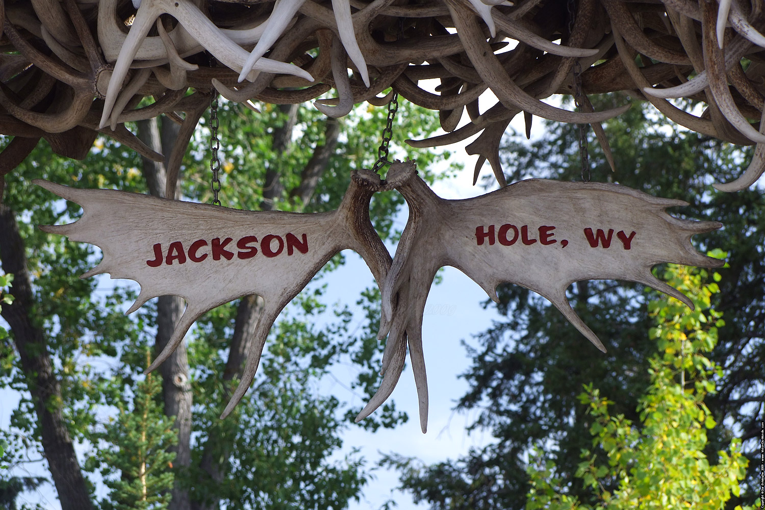 Jackson Hole - 2009