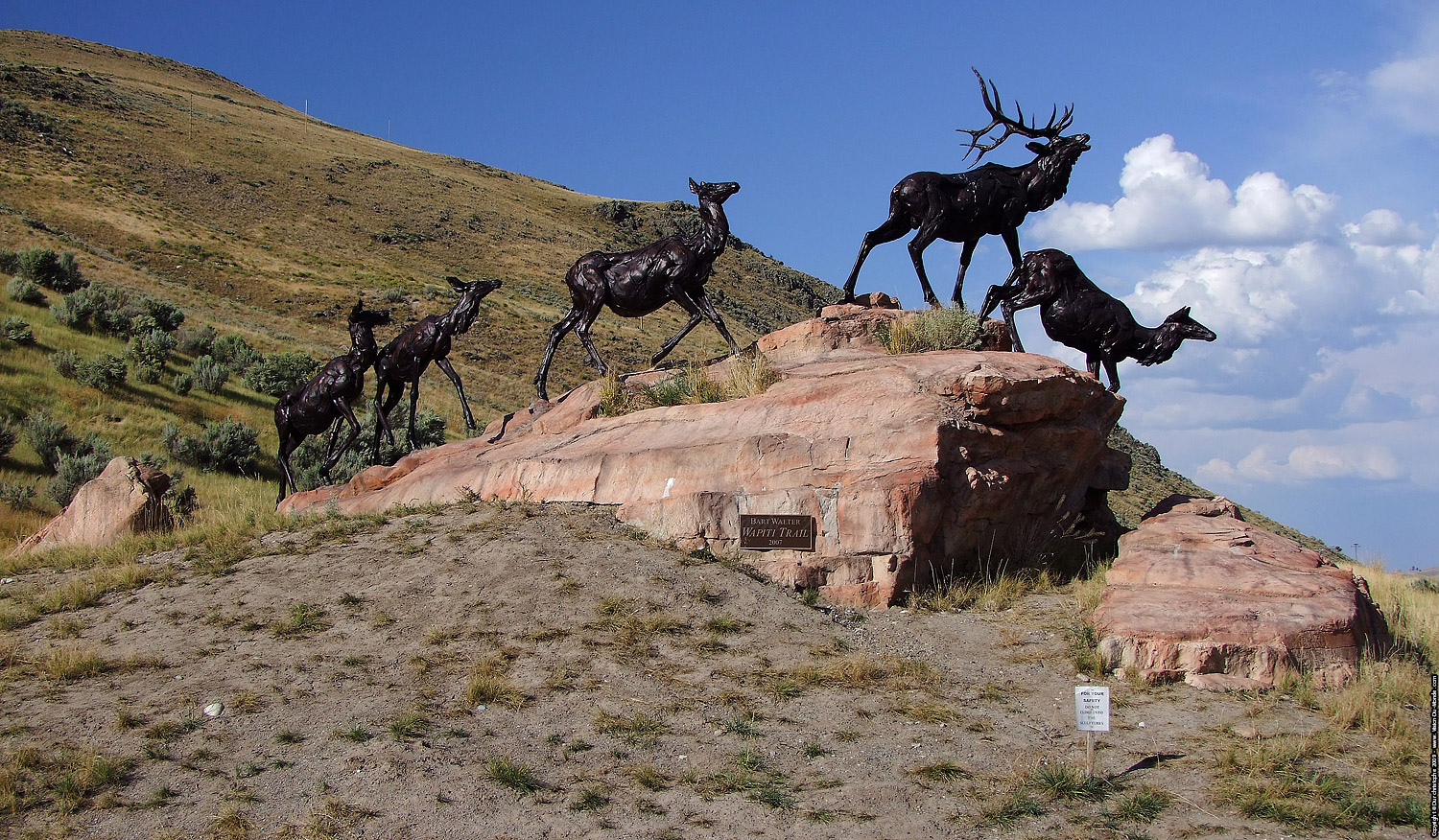Jackson Hole - 2009