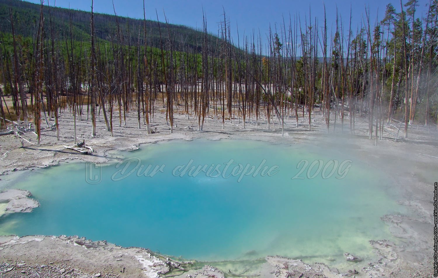 Parc National de Yellostone - 2009
