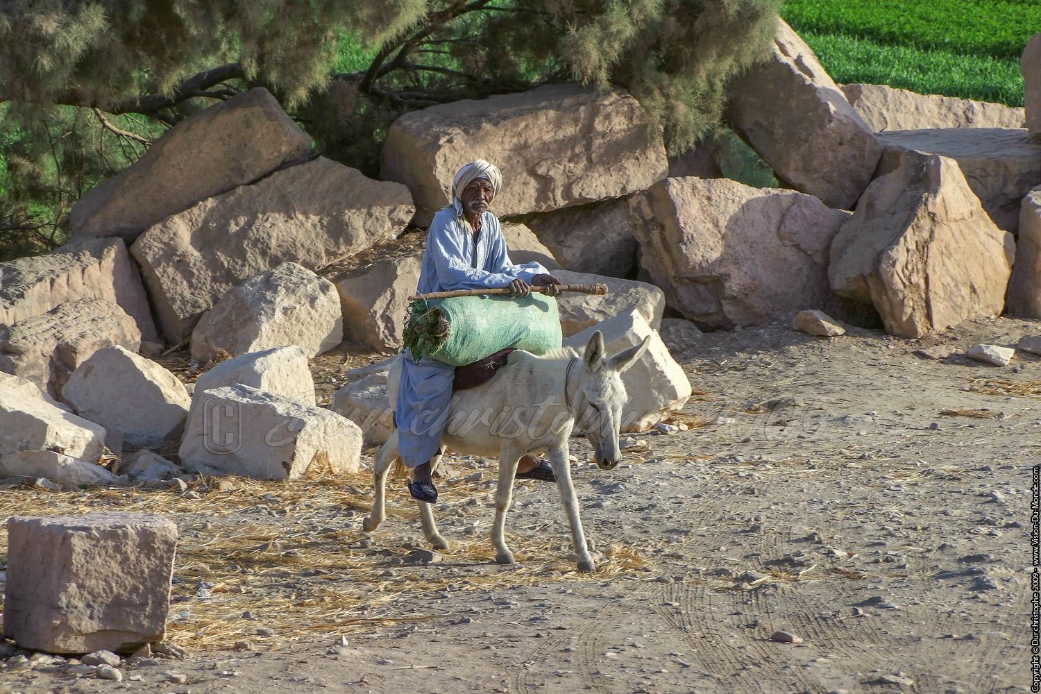 Le muletier  - 2009