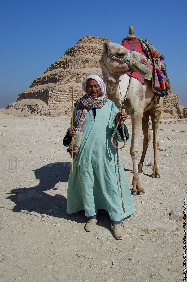 Guide Chamelier - Saqqarah - 2009