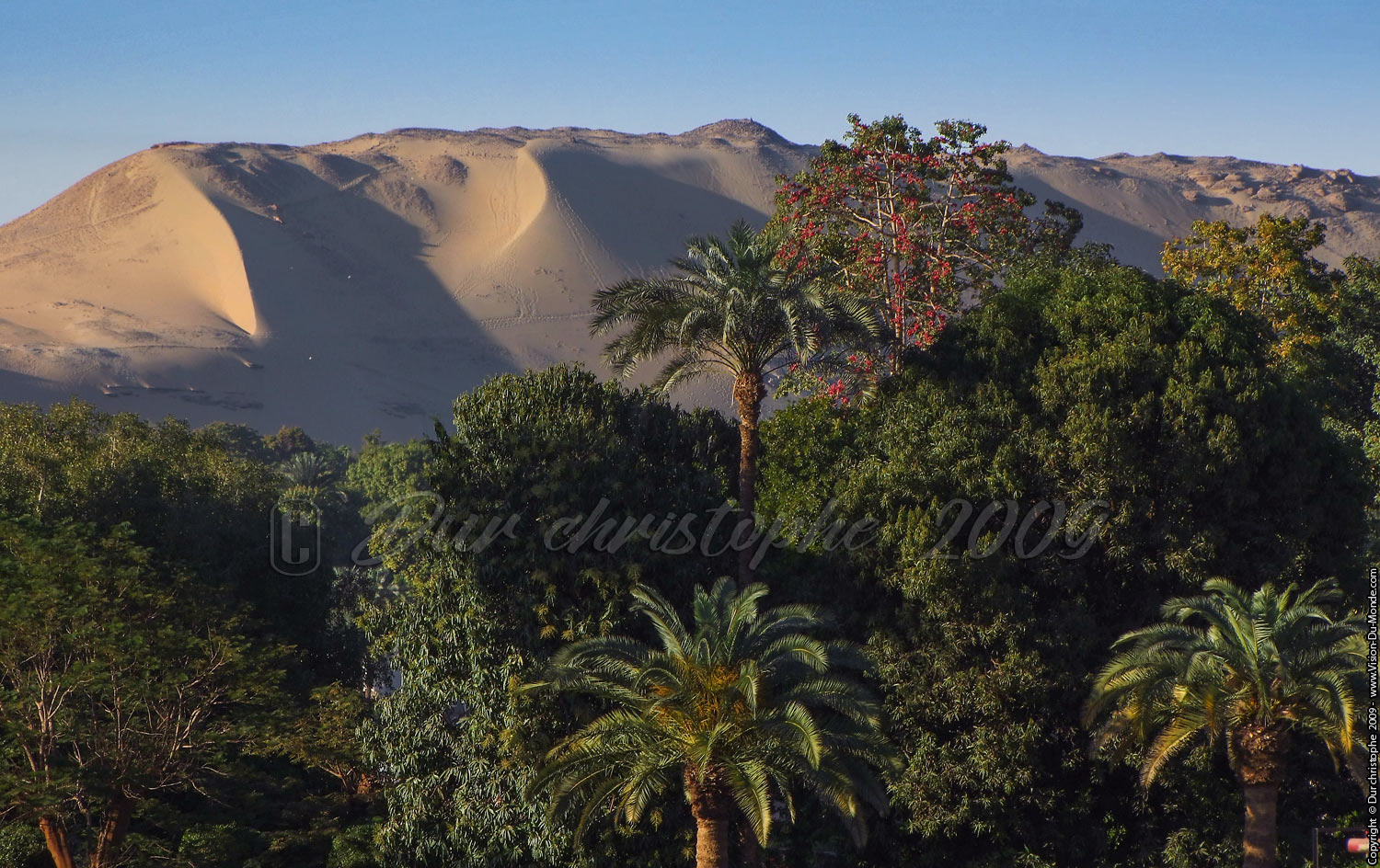 l'oasis - Assouan - 2009