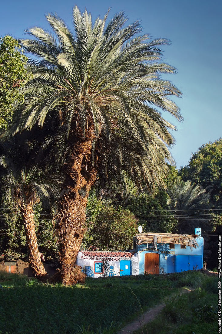 Île Elephantine - Assouan - 2009