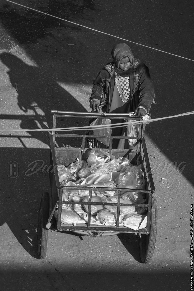 Femme au chariot - Louxor - 2009