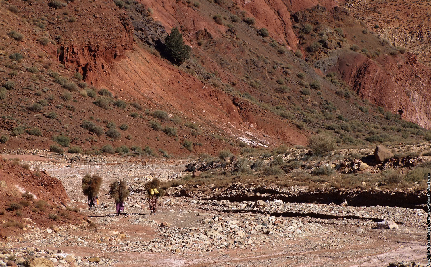 Les marcheuses - 2010