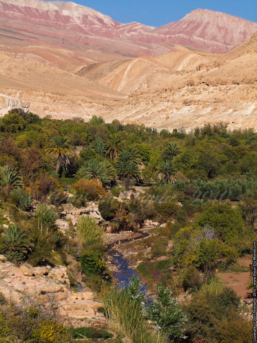 L'oasis et son oued - 2010