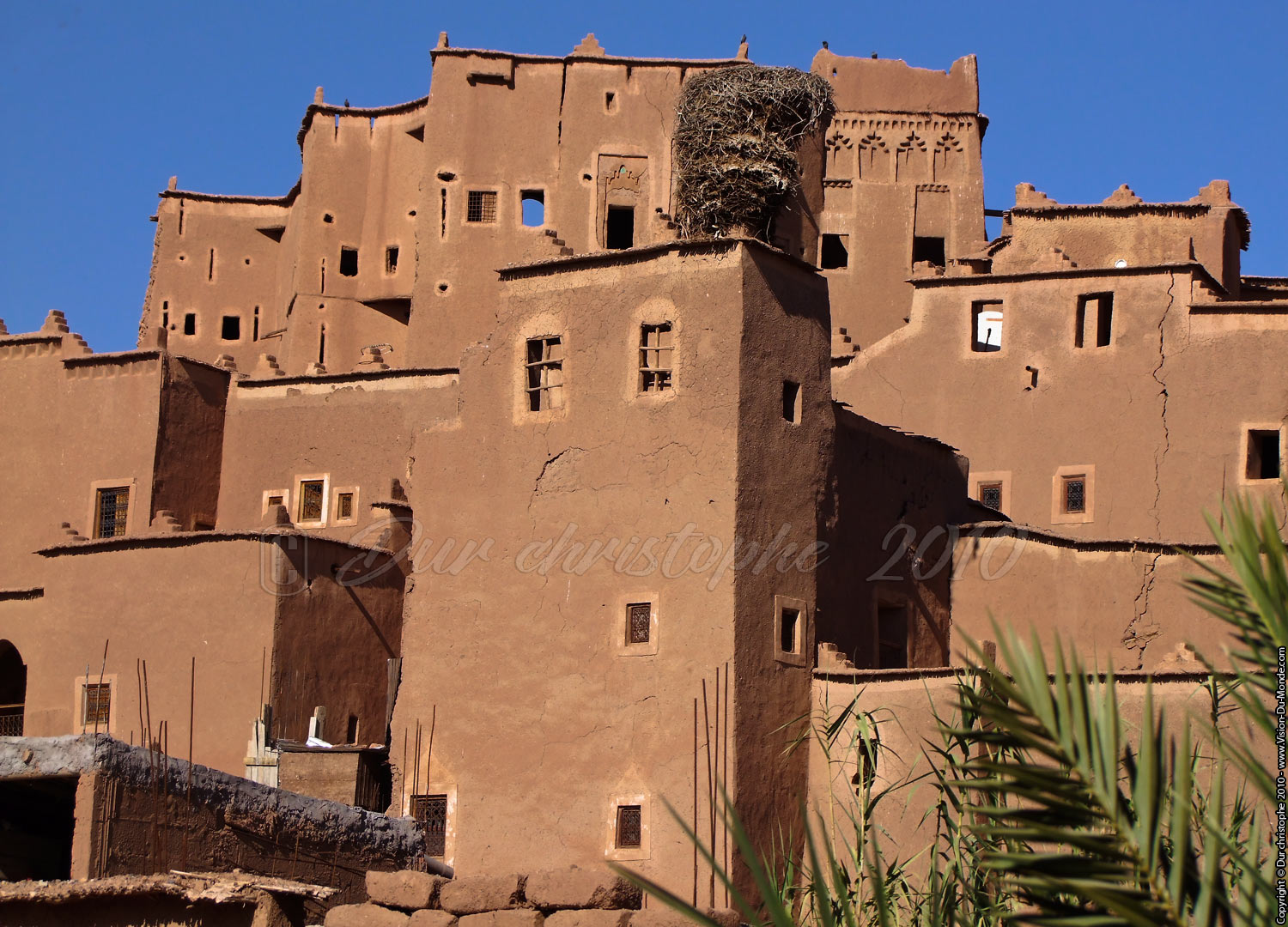 Building de terre - 2010