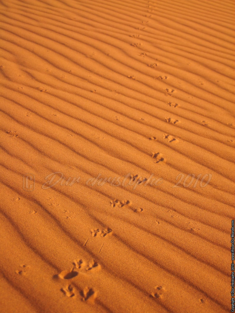 Erg Chebbi - Merzouga - 2010