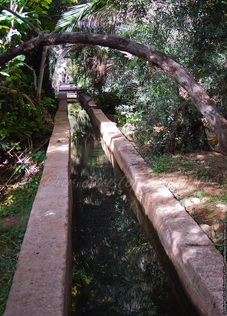 Palmeraie de Tafilalet - 2010