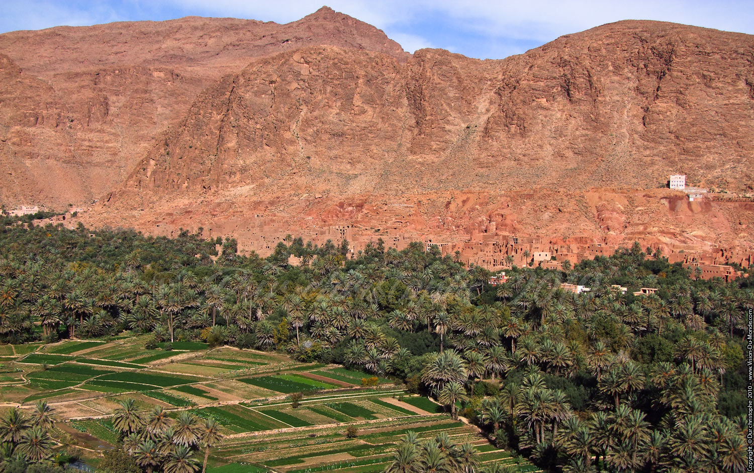 Palmeraie de Tinghir - 2010