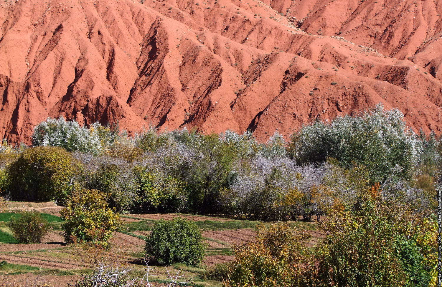 Terre d'ocres - 2010
