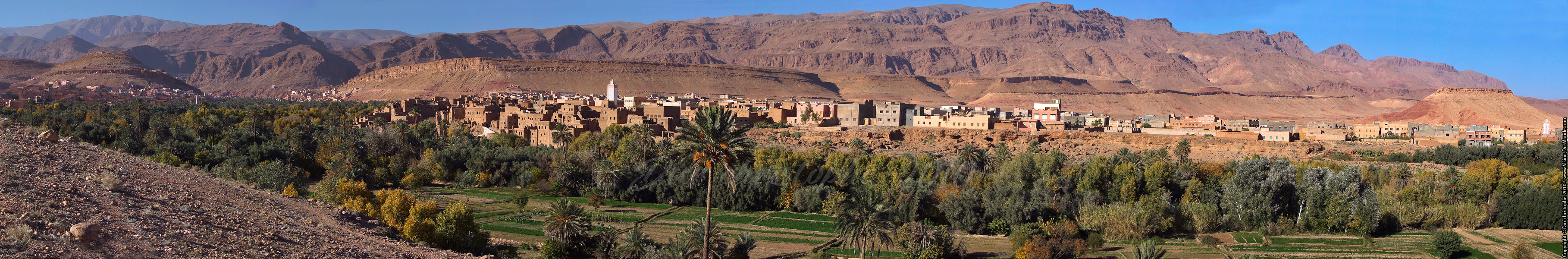 Palmeraie Tineghir - 2010