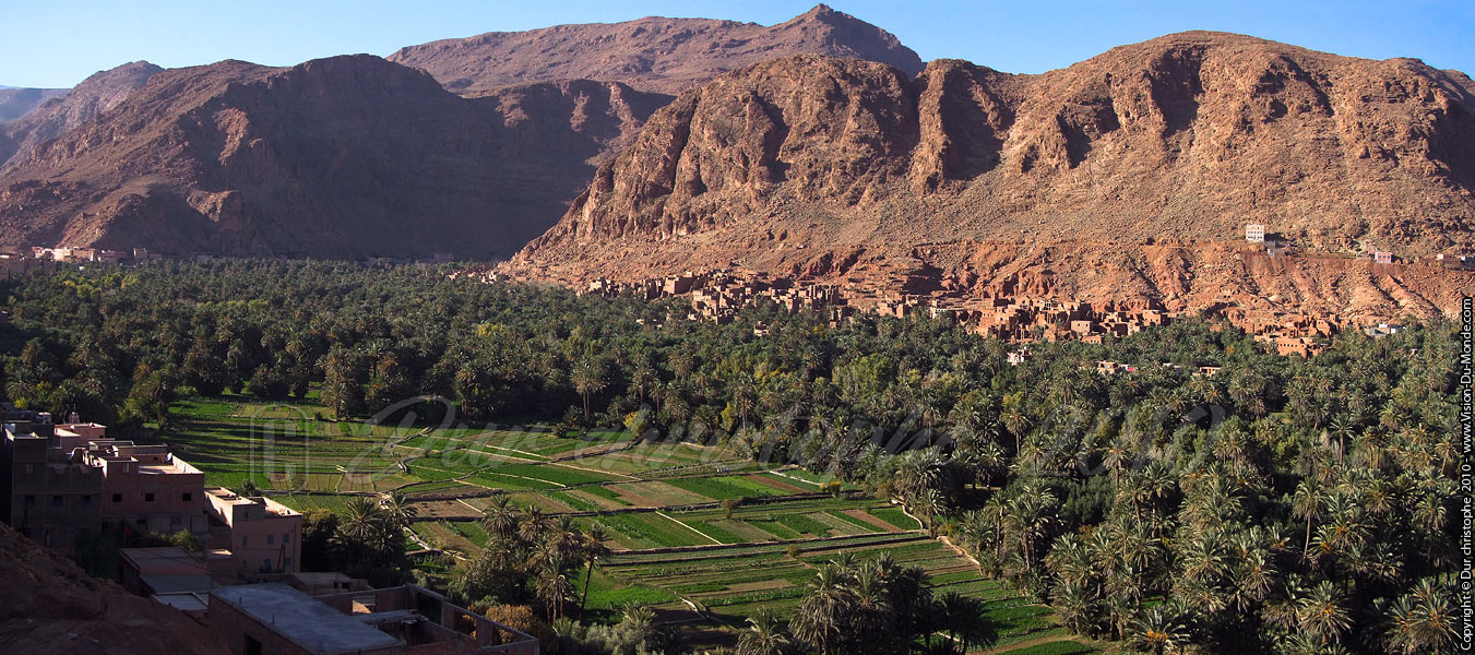 Palmeraie Tineghir - 2010