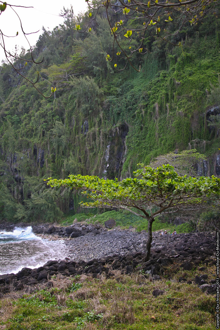 Anses des cascades - Piton Sainte Rose - 2013