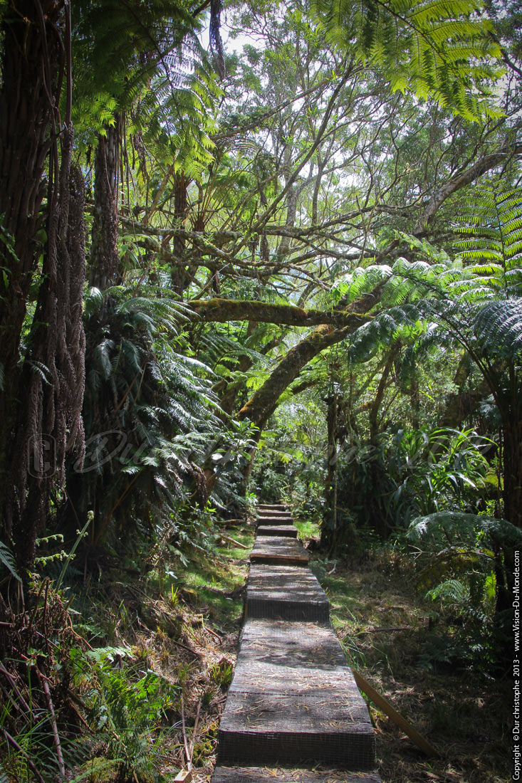 Sentier de l'école Normale - Randonée du trou de Fer - 2013