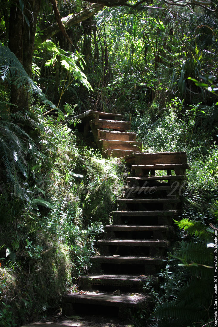 Les marches  - Randonnée du trou de Fer - 2013