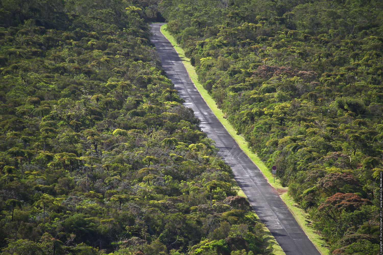 La route Forestière - 2013