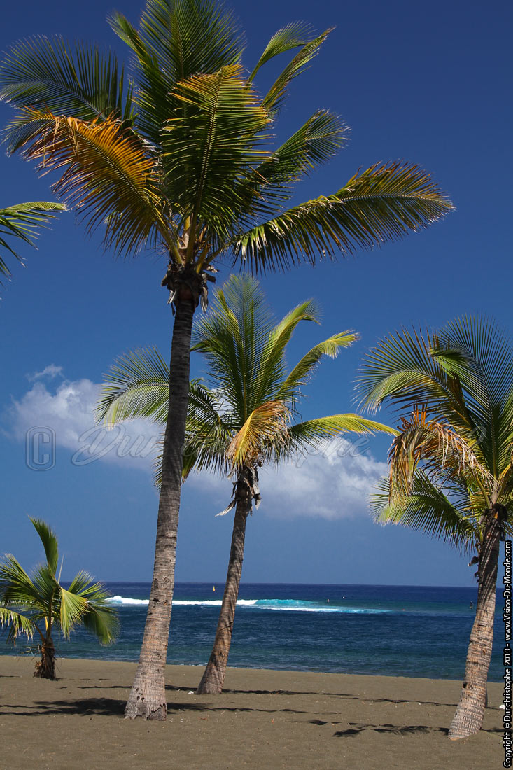 Grand Anse - Saint Philippe - 2013