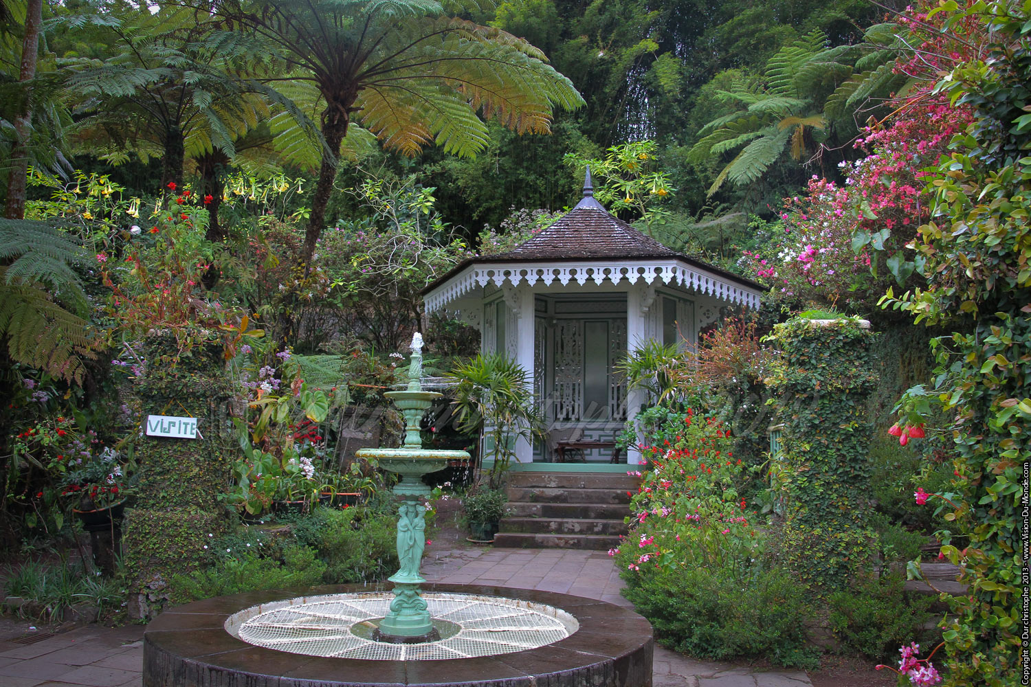 La fontaine - La maison Folio - 2013