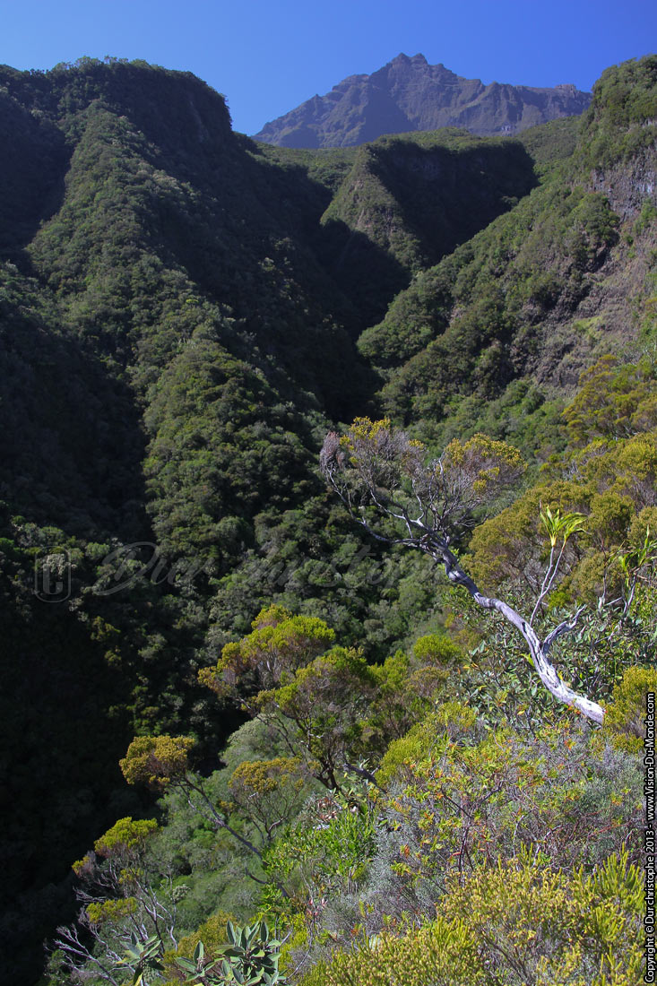 Cirque de Mafate - 2013