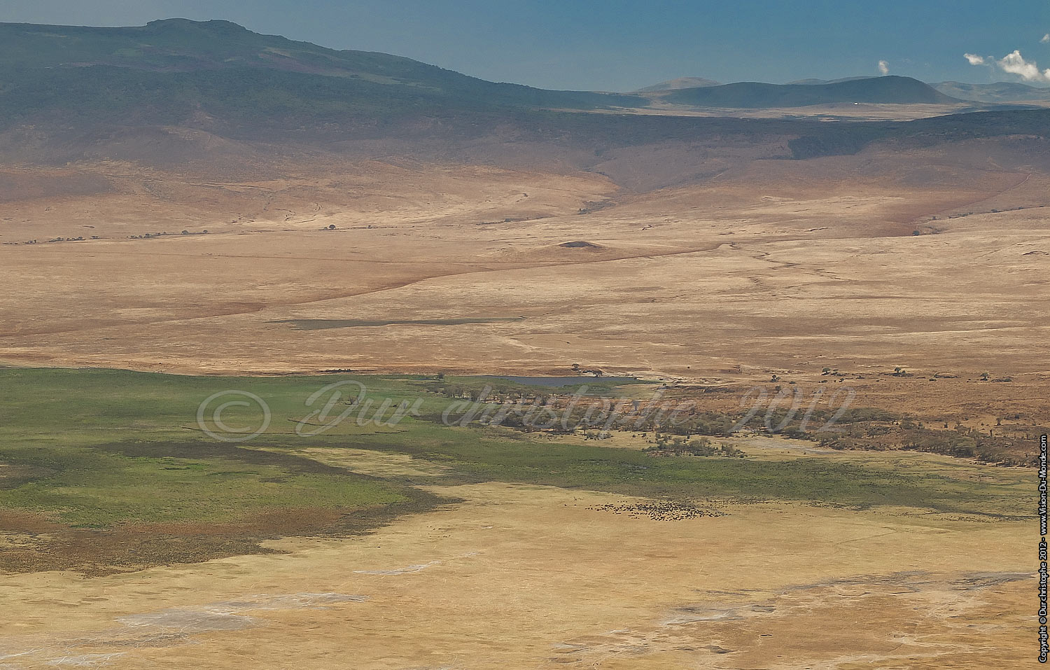 L'oasis - Cratère Ngorongoro 2012