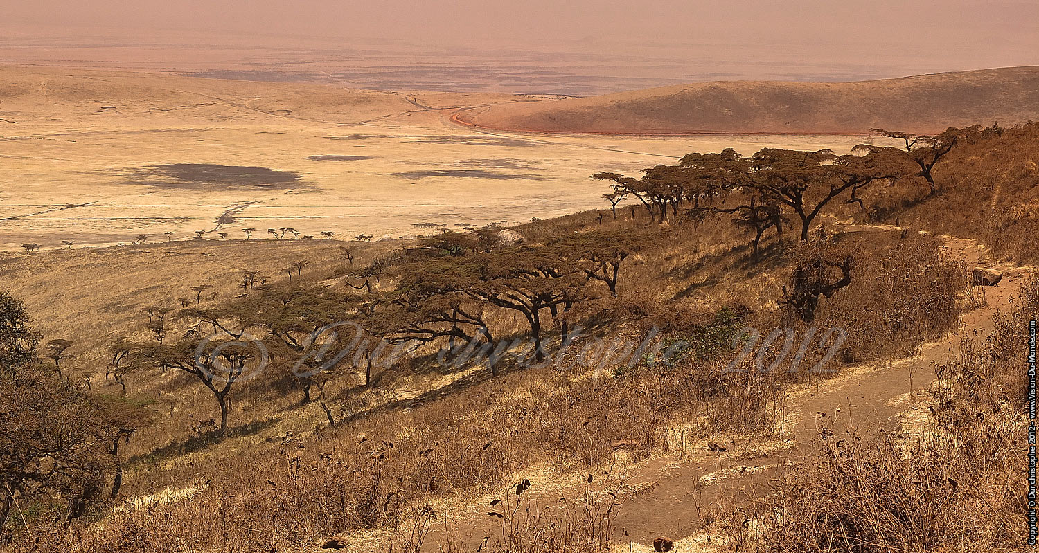 Saison sèche - Ngorongoro 2012