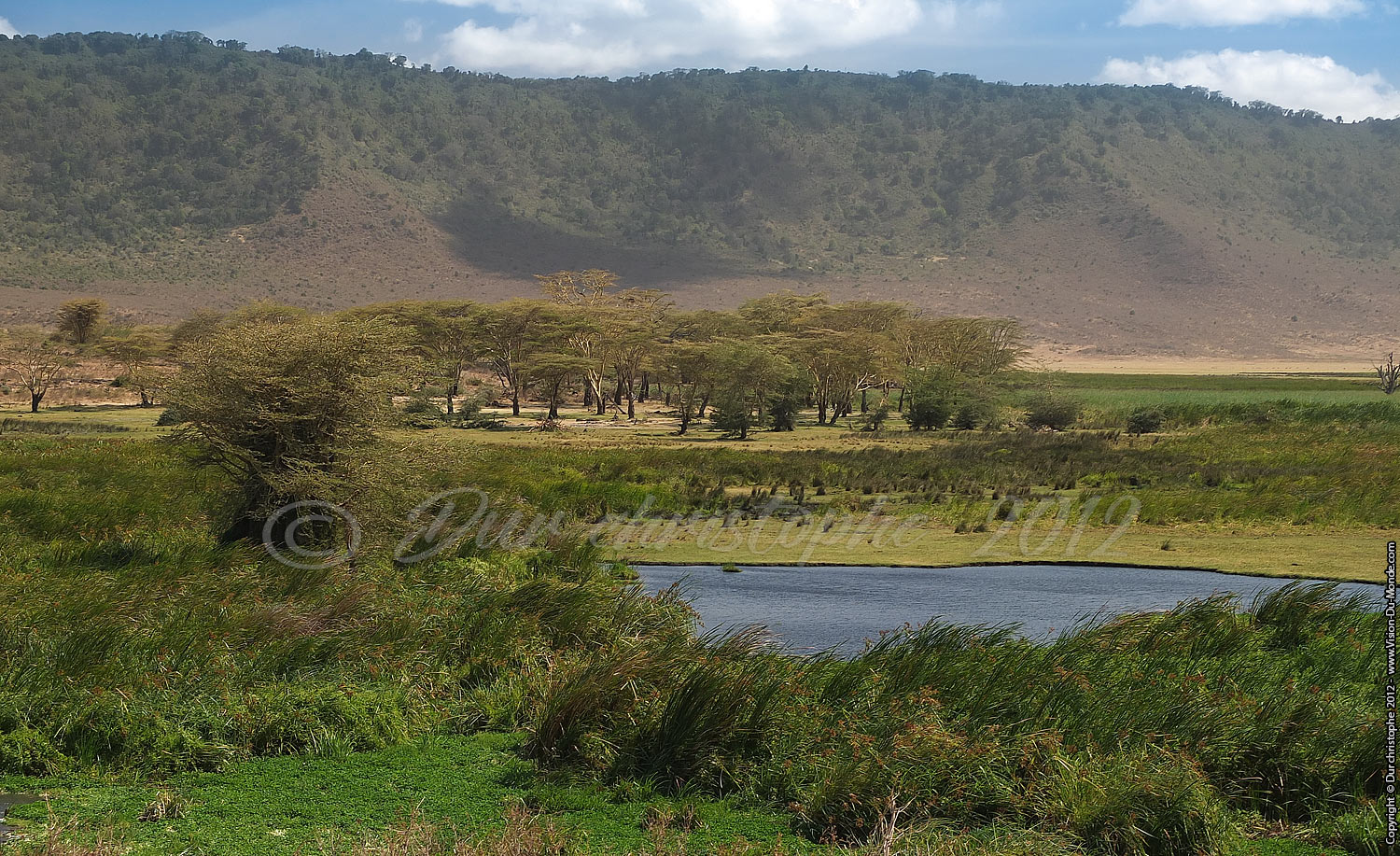 L'oasis - Cratère Ngorongoro 2012
