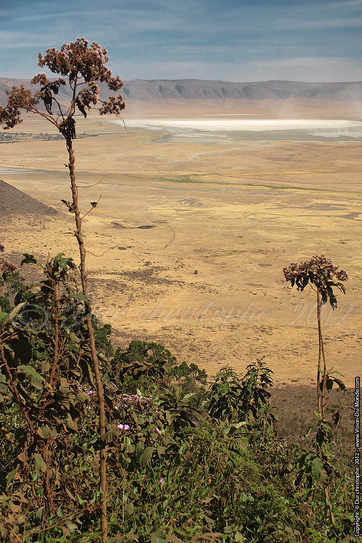 Le cratère - Cratère Ngorongoro 2012