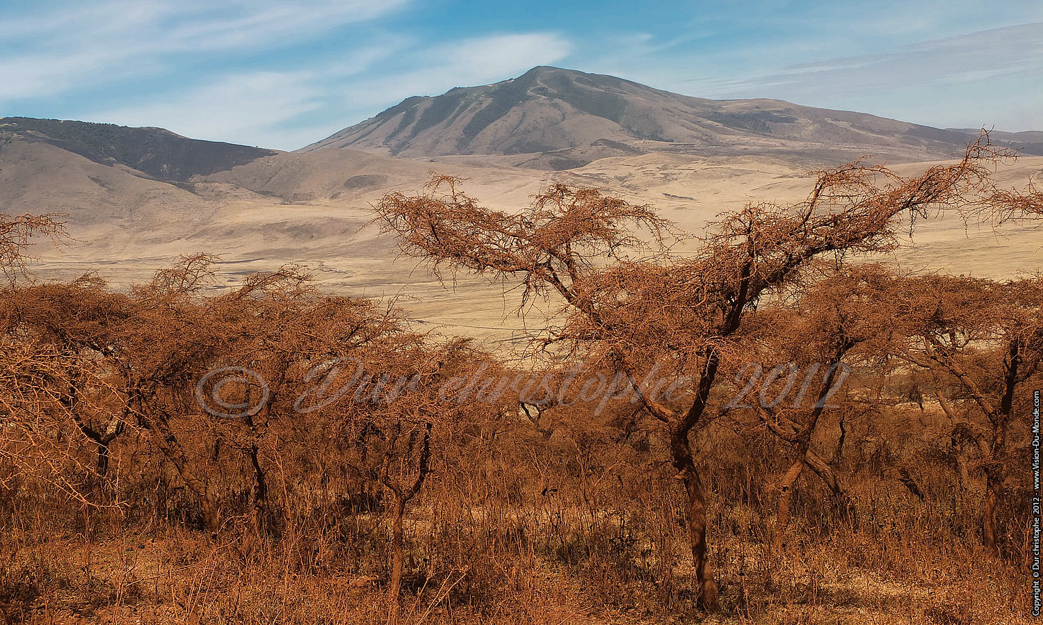 Acacias rouge de poussière - Ngorongoro 2012