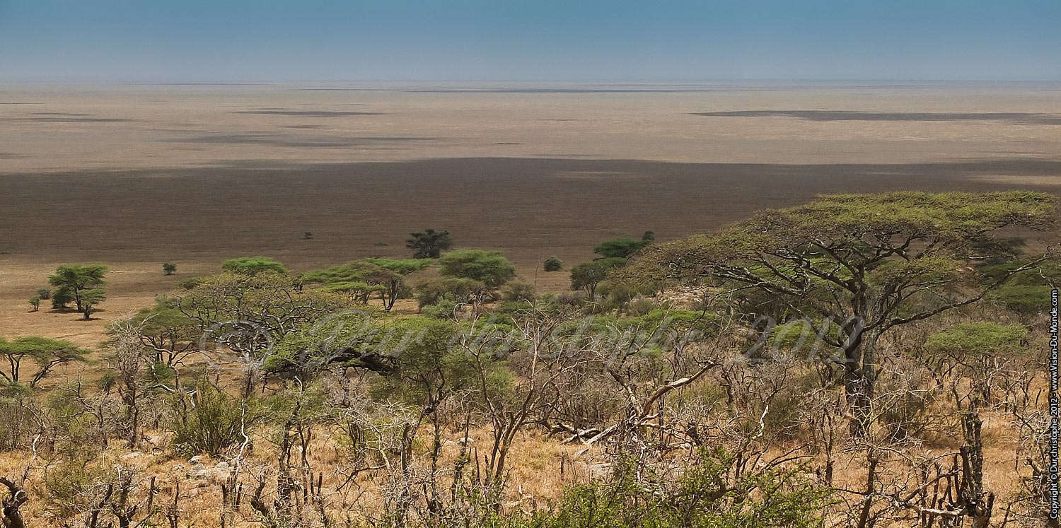 Plaines assechées - Serengeti national park 2012