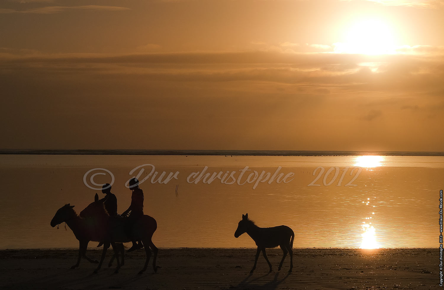 Ballade à dos d'ânes - Zanzibar 2012