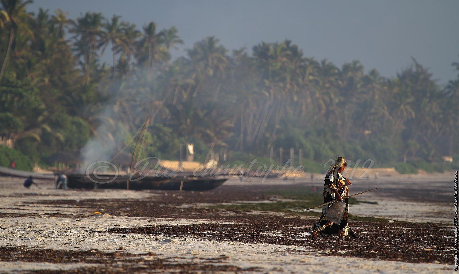 Rammasseuse d'algues - Zanzibar 2012