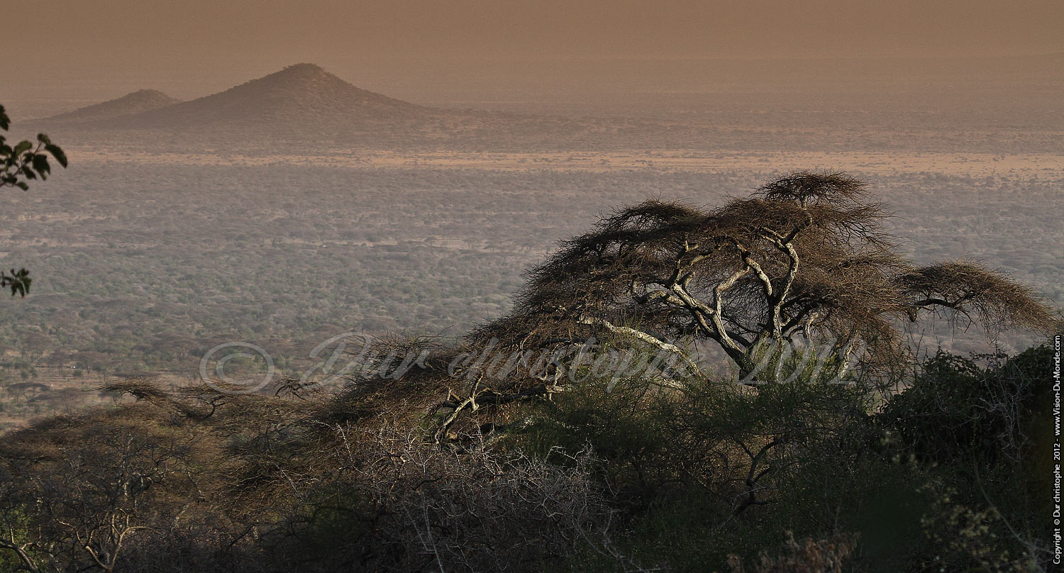 Savane - Longido 2012
