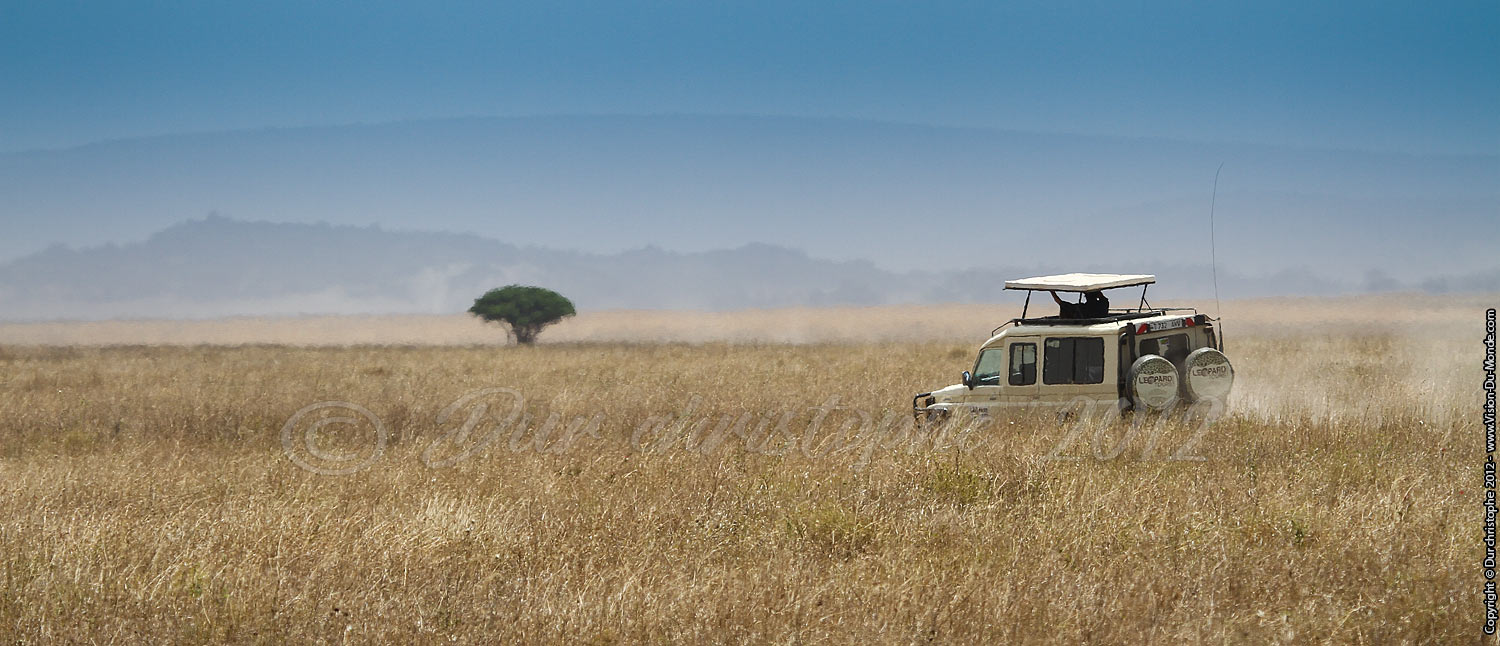 L'espoir retrouvé - Serengeti national park 2012