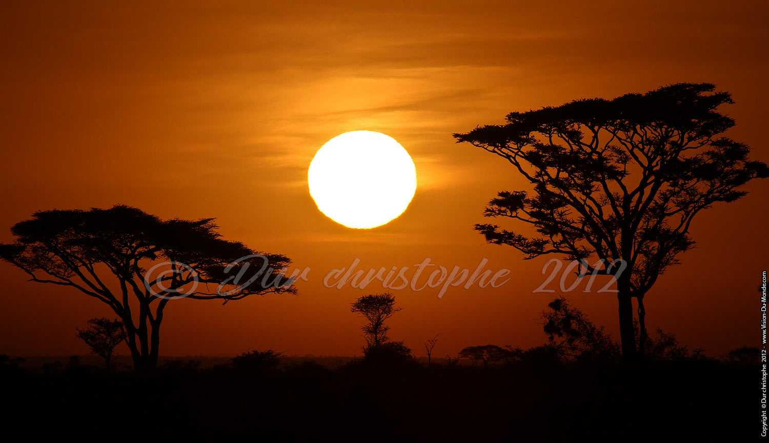 La savanne se reveil - Serengeti national park 2012