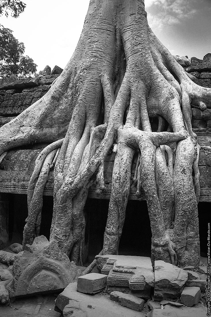 Racines - Siem Reap - 2007
